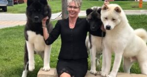 Nicole “Nicki” King Obituary, Death – Lebanon, Indiana Dog-Handling Community Mourns Respected Professional